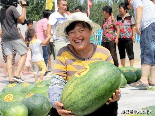 寻找吃瓜群,网络社交新潮流