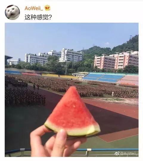 吃瓜了学姐,网络红人的崛起与影响力