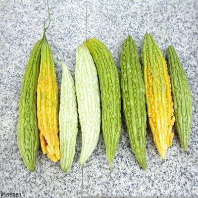 狼疮病人可以吃哈密瓜吗,哈密瓜的适宜性探讨