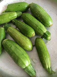 瓜角子怎么吃,教你轻松解锁多种食用方法