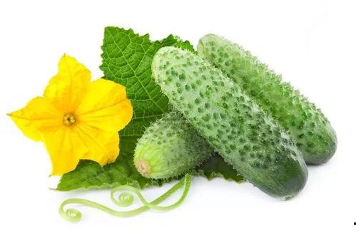 傅钦吃瓜系统,揭秘娱乐圈幕后风云