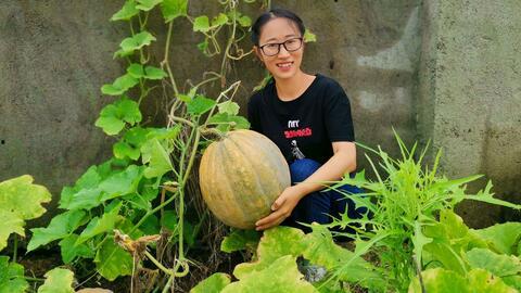 吃农村瓜的好处,品味农村瓜果的天然甘甜