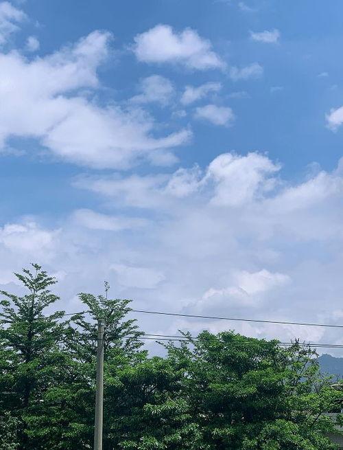 吃瓜小熊台风,一场别具一格的自然奇观