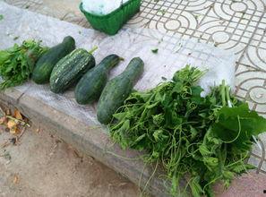 仙居味仙居吃瓜,探寻仙居特色美食之旅