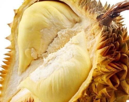 宿舍室友吃籽瓜