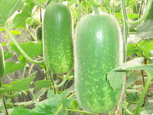 824 421吃瓜,揭秘娱乐圈背后的惊人真相