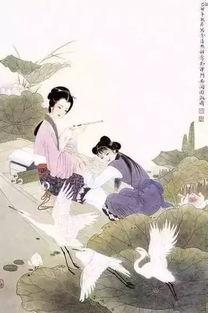 如梦令吃瓜,瓜田里的欢乐时光