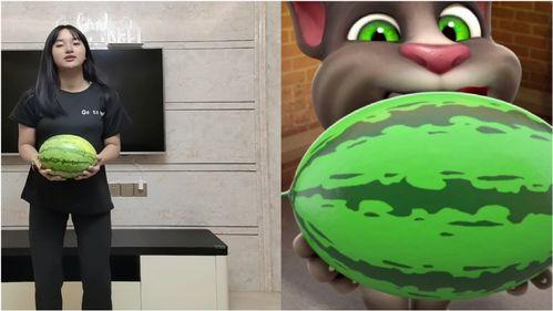 汤姆猫吃瓜事件,网络狂欢背后的真相与反思