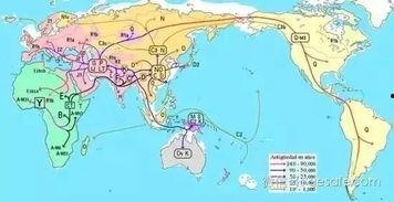 人类吃瓜地图3,揭秘人类“吃瓜”地图3