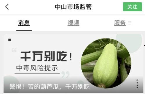 病毒母体吃瓜,瓜果间的神秘之旅