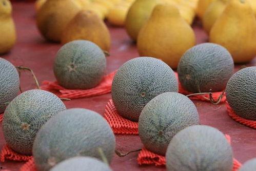 立冬吃哈密瓜,传统习俗中的甜蜜滋味