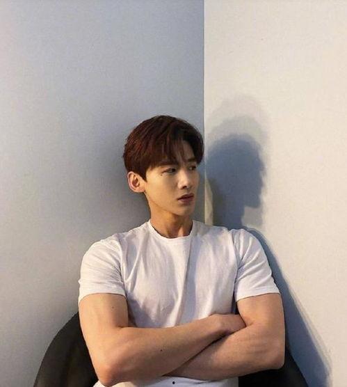 吃瓜视频白敬亭,揭秘娱乐圈幕后故事