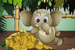 小象玉梅吃瓜,小象玉梅的夏日吃瓜趣事