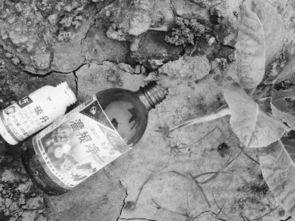 吃瓜 者被农药吃死了视频
