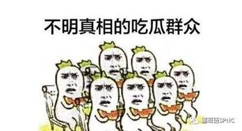 吃瓜群众看了什么,揭秘吃瓜群众热议的精彩瞬间
