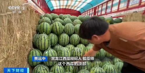 吃瓜要钱的人,揭秘“吃瓜经济”背后的时代现象